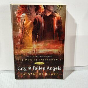 City of Fallen Angels book